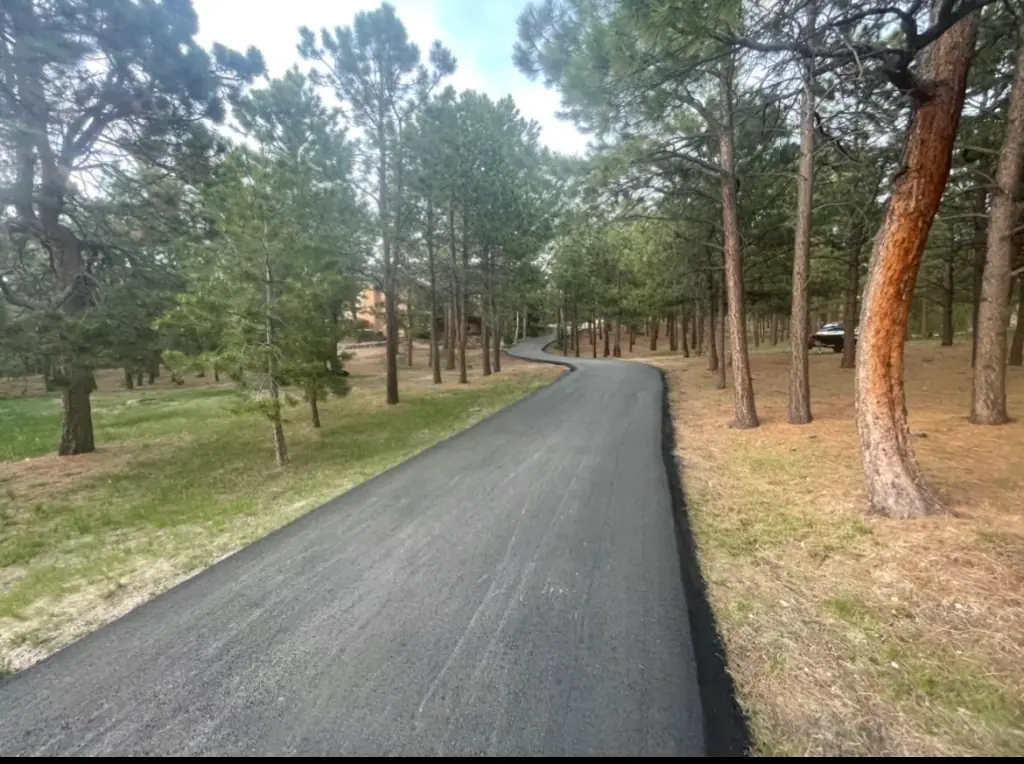 Finished asphalt driveway winding through pine trees